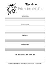 Marienkäfer-Steckbriefvorlage-sw-1.pdf